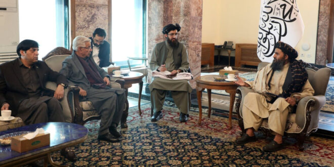 Taliban multipurpose game