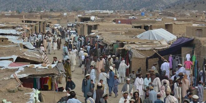 طالبان پاکستان