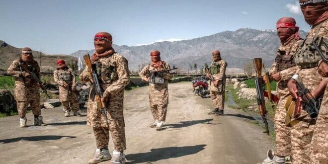نیروی نظامی جدید طالبان