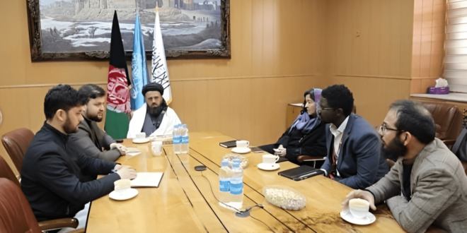 یک بام دو هوای جهان