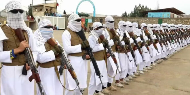 پدران انتحاری در آتش صنعت خود افروخته